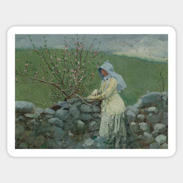 Peach Blossoms by Winslow Homer Sticker by Classic Art Stall